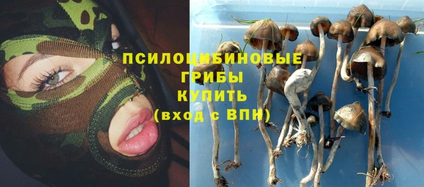 крисы Арсеньев