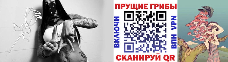 Галлюциногенные грибы Magic Shrooms  как найти закладки  Сольвычегодск 