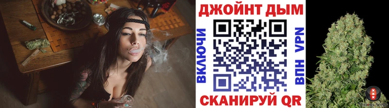 Бошки Шишки план Сольвычегодск